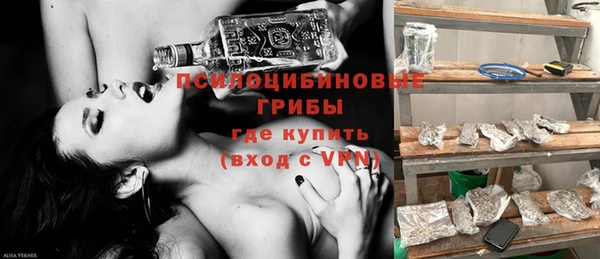 дживик Баксан