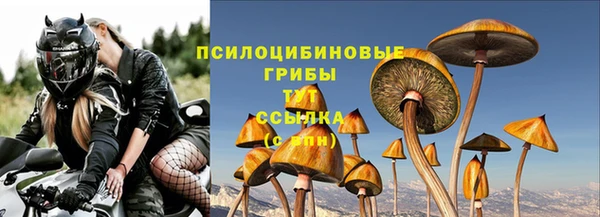 дживик Баксан